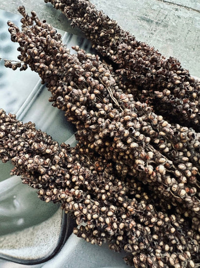 Tørret blomster – Brown - VIAMAJA.DK
