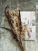 Tørkede blomster – Brown mix