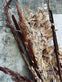 Tørret blomster – Brown mix - VIAMAJA.DK