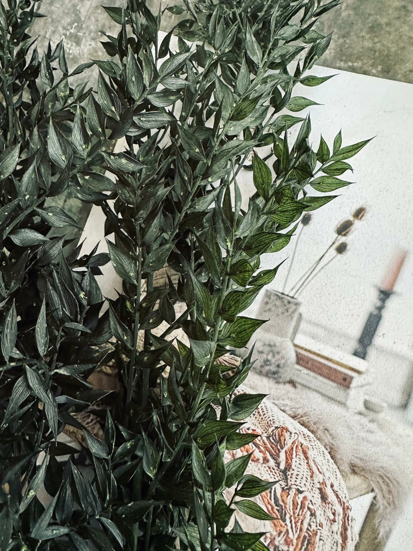 Tørret blomster – Dark green ROSSA - VIAMAJA.DK