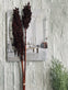 Tørret blomster Naomi – Brown - VIAMAJA.DK