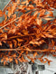 Tørret blomster – Orange - VIAMAJA.DK