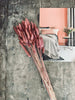 Tørkede blomster – Rose