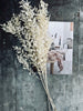 Tørkede blomster – White ROSSA