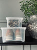 Transparent kasse med lokk