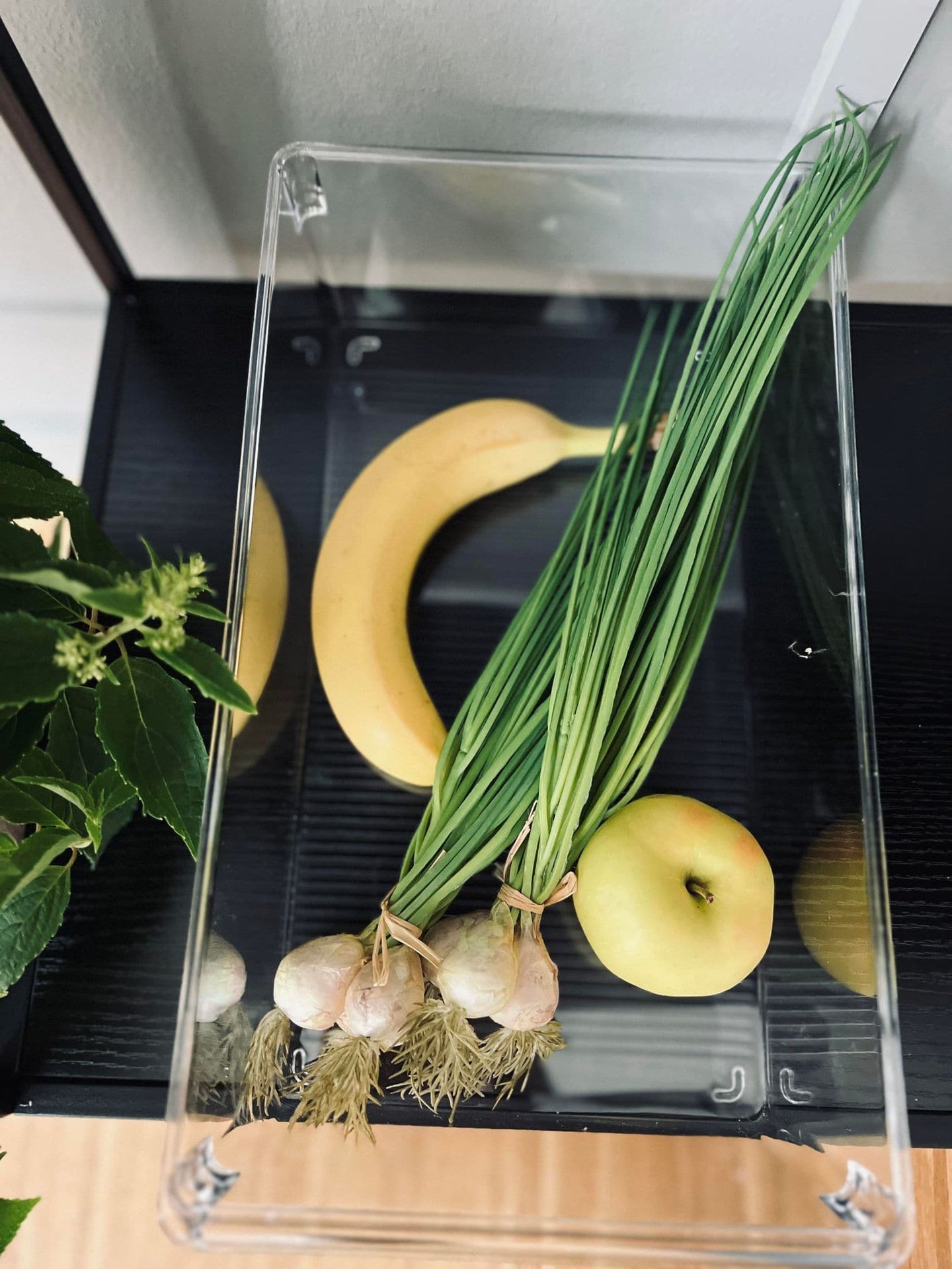 Transparent kasse til køleskab - VIAMAJA.DK