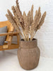 Wild Corn – Sahara – 20 stk