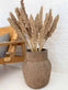Wild Corn – Sahara – 20stk - VIAMAJA.DK