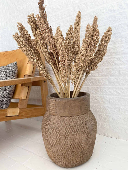 Wild Corn – Sahara – 20stk - VIAMAJA.DK
