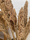 Wild Corn – Sahara – 20stk - VIAMAJA.DK