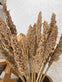 Wild Corn – Sahara – 20stk - VIAMAJA.DK