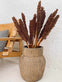 Wild Corn - Terracotta - 20stk - VIAMAJA.DK