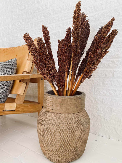 Wild Corn - Terracotta - 20stk - VIAMAJA.DK