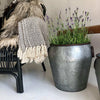 Sinkbøtte til blomster eller oppbevaring - Stor